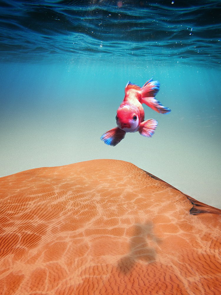 Photograph by Mahdi Ghaedi