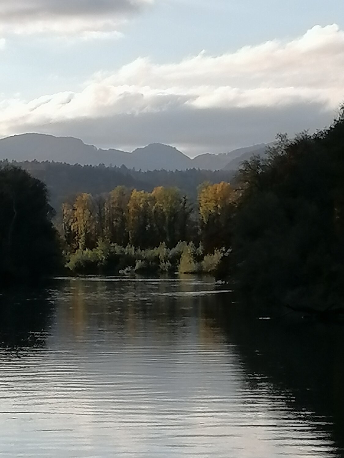 Photo #5161536