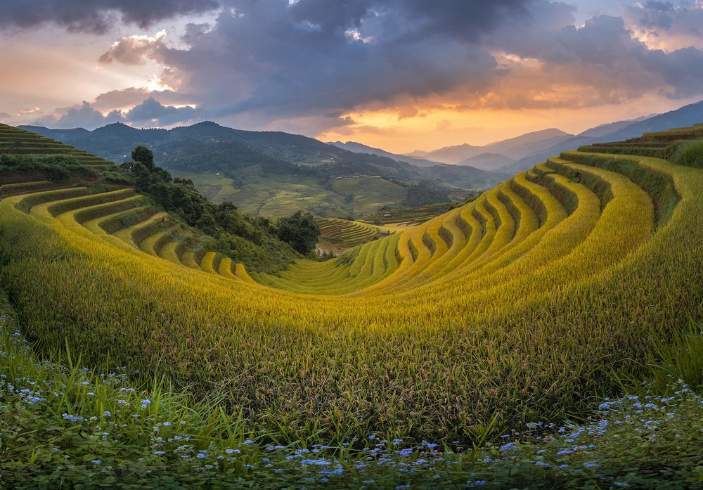 Photograph by Ngoc Vu Bao