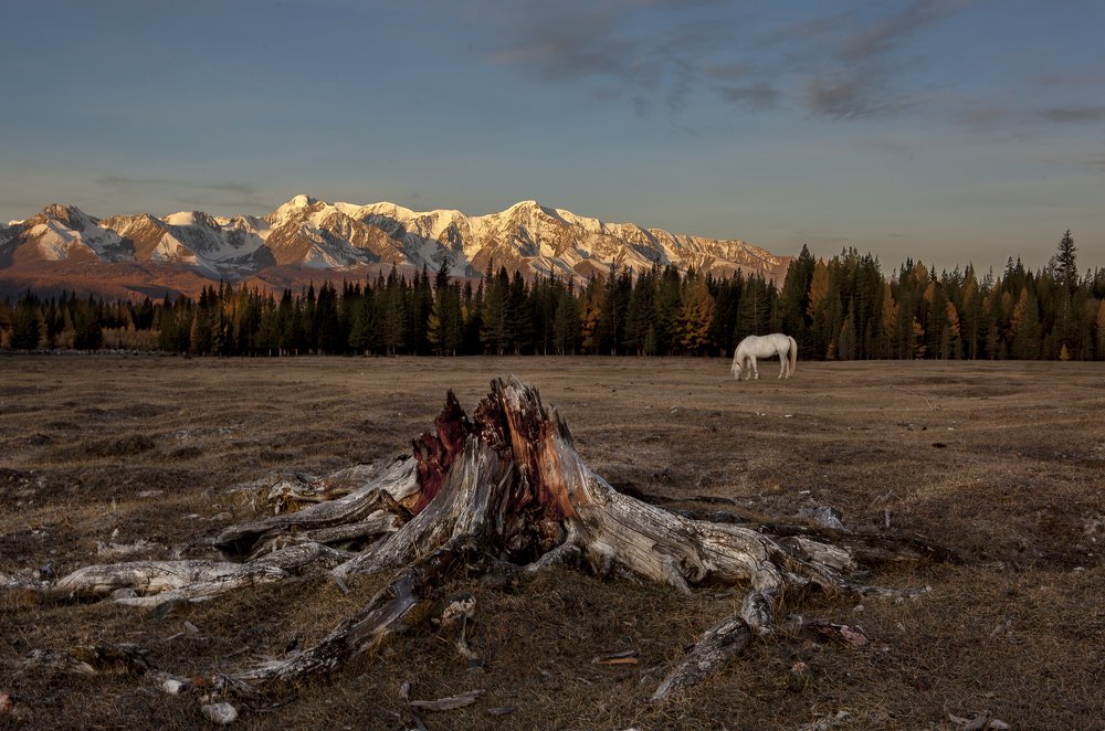 Photograph by Максим Костин