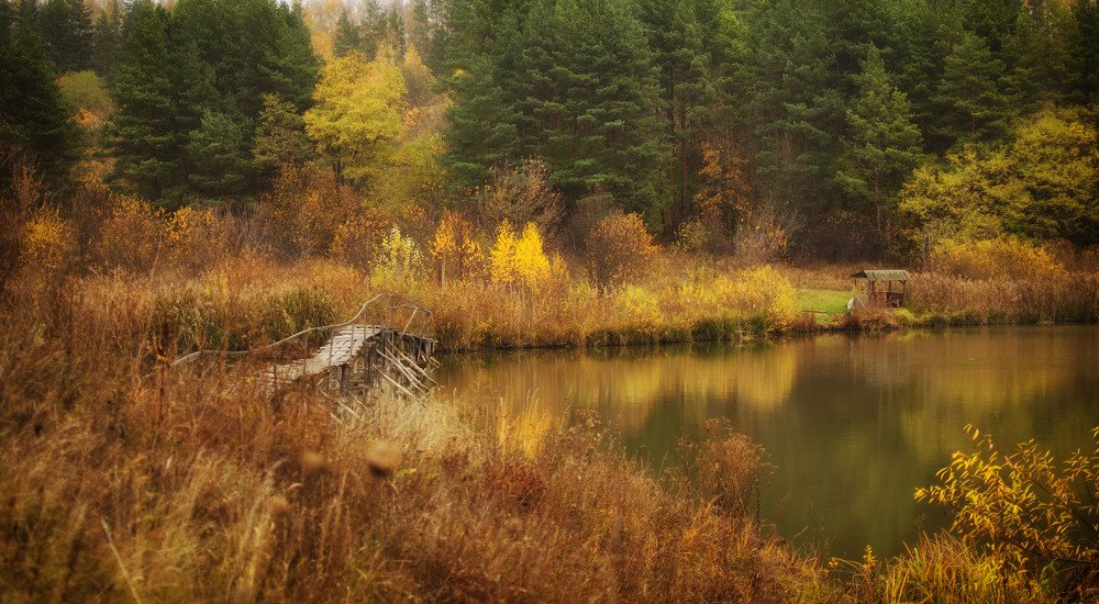 Photograph by Синегубова Ольга