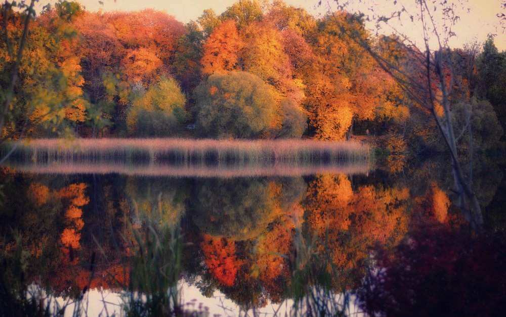 Photograph by Синегубова Ольга