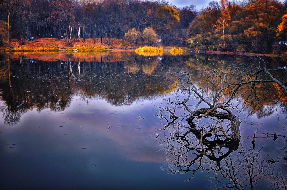 Photograph by Синегубова Ольга