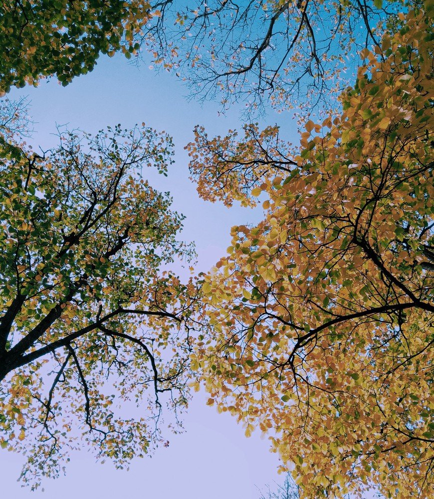 Photo #5161683