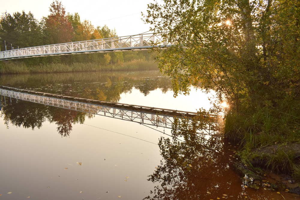 Photograph by Елена Викторовна Богданова