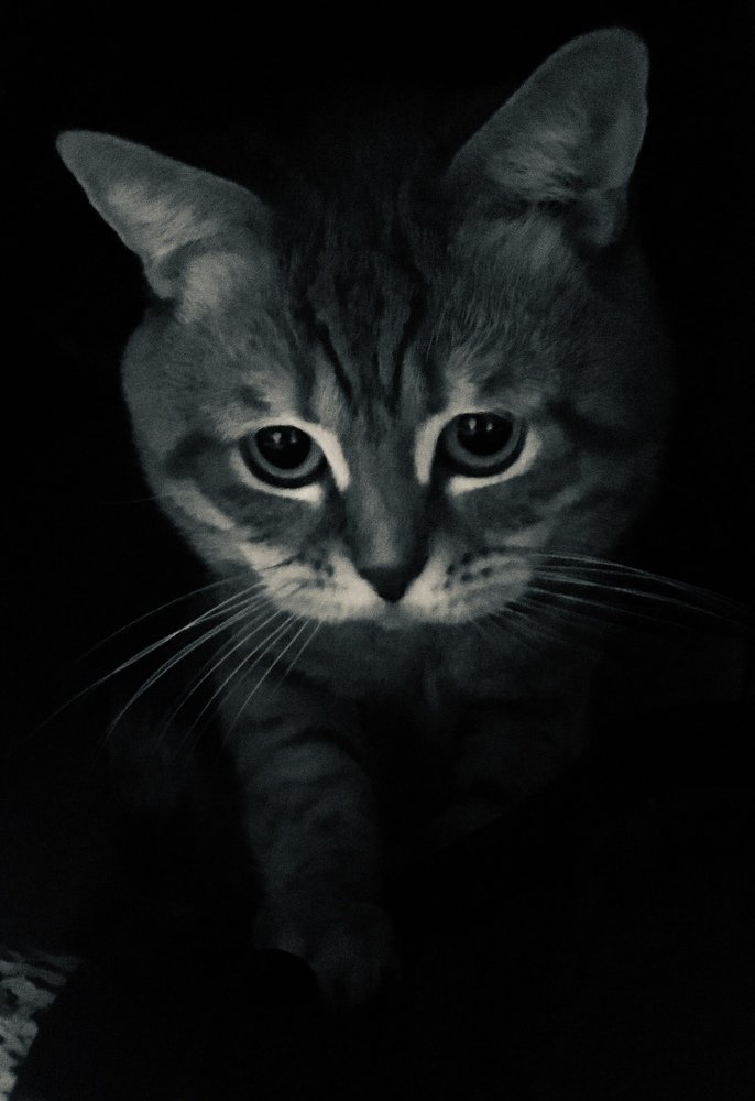 Photograph by Евгения Ципрук