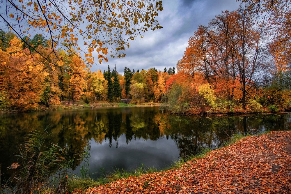 Photograph by Екатерина