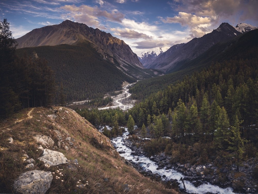 Летний Маашей