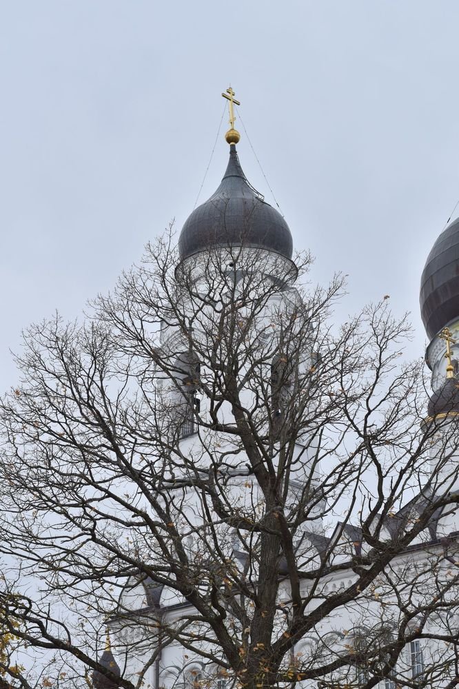 Photograph by Елена Викторовна Богданова