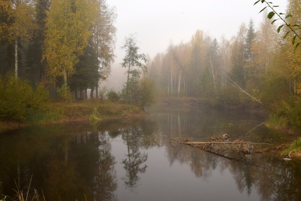 Photograph by Надежда Дорошенко