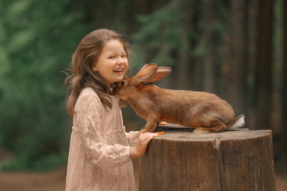 Фотография автора Елена Петрова