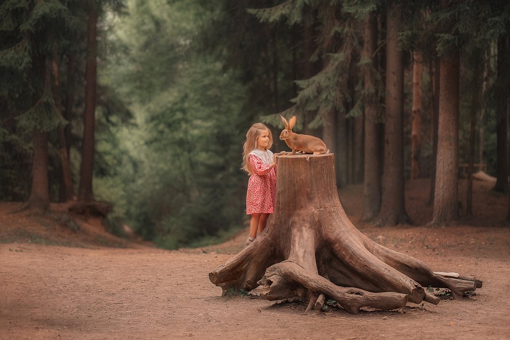 Фотография автора Елена Петрова