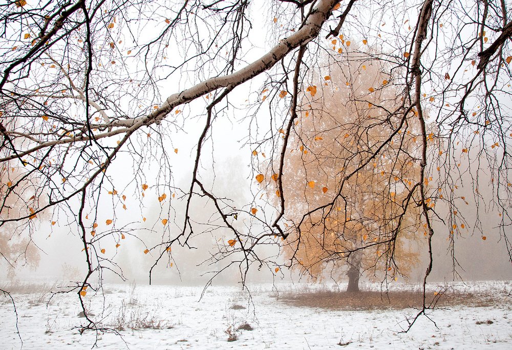 Photograph by Тамара Андреева