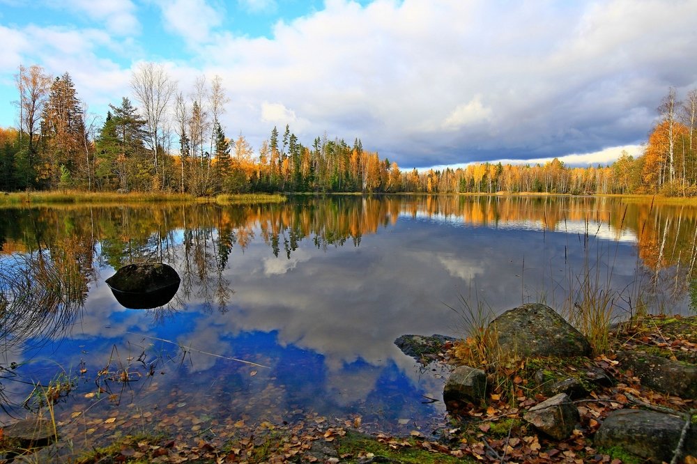 Photograph by Николай