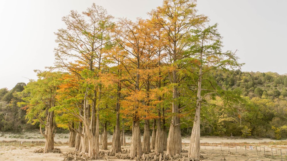 Photograph by Виталий Абдразаков