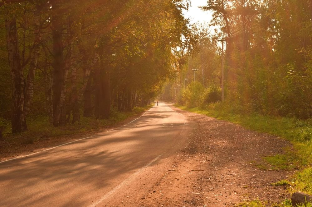Photograph by Елена Викторовна Богданова