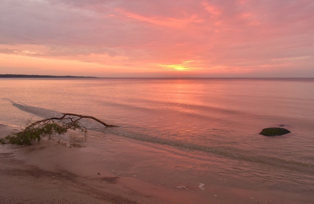 Photograph by Елена Викторовна Богданова