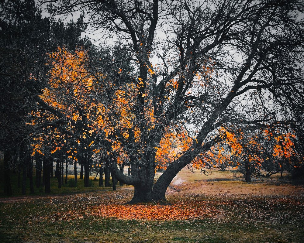 Photograph by Мычаковский Дмитрий