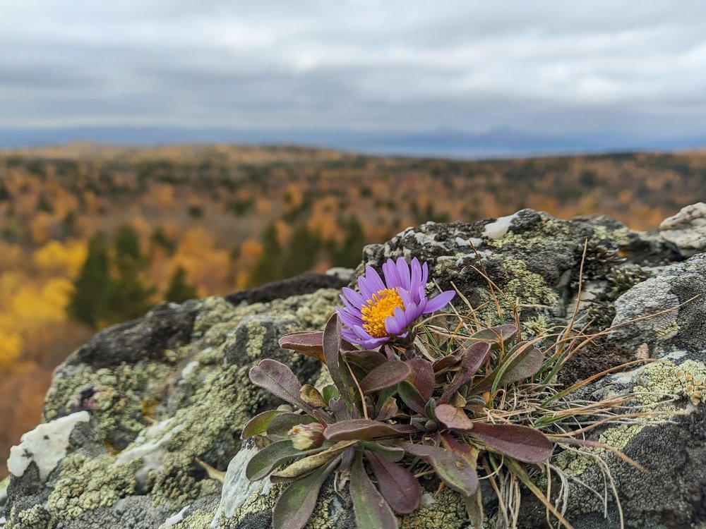 Photograph by Наиль Шакиров