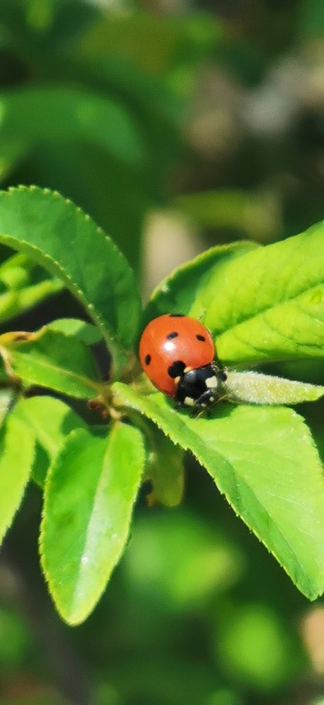 Photograph by Кака Ходжа