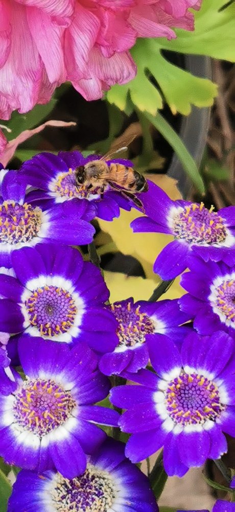 Photograph by Кака Ходжа