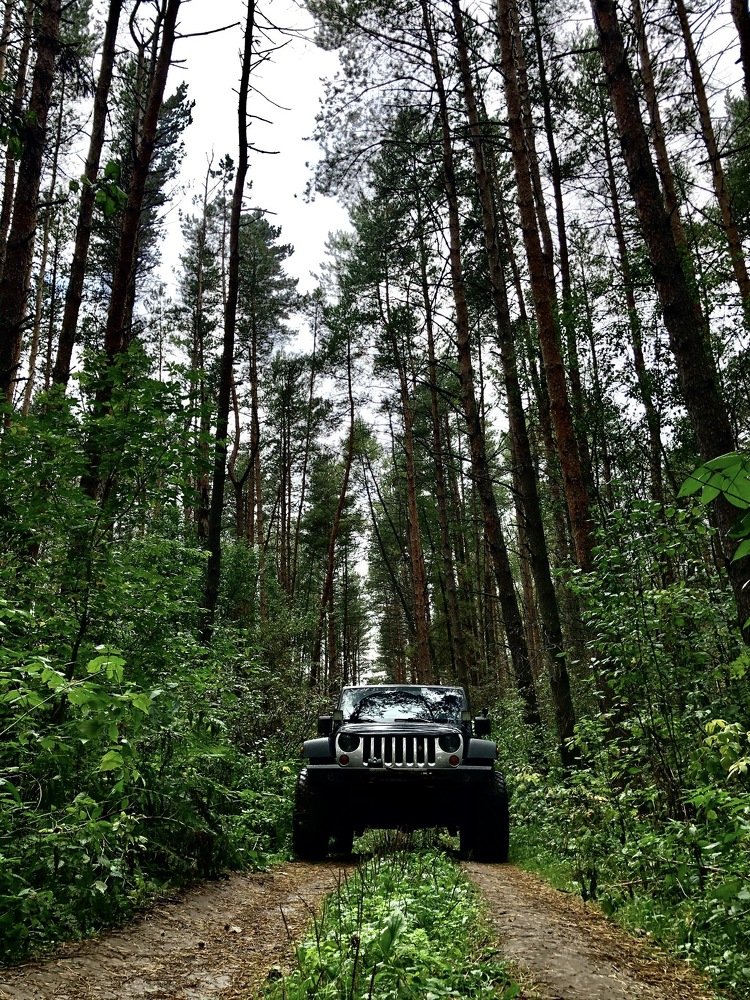 Photograph by Евгения Ципрук