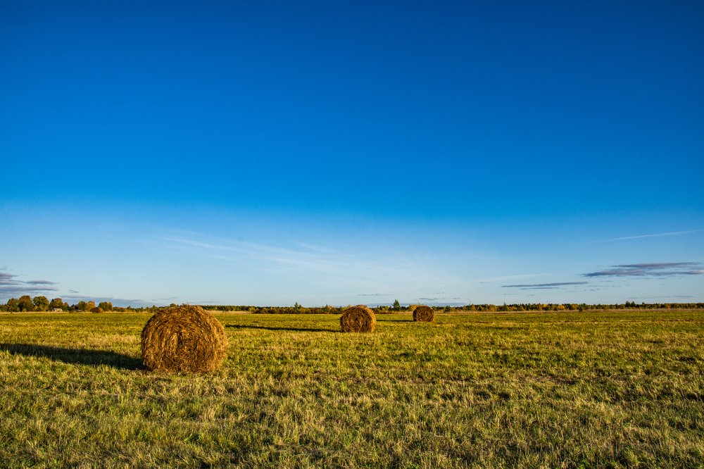 Осенний Луг
