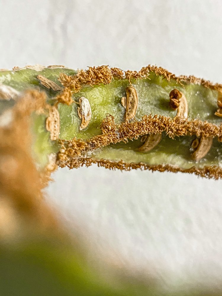 Photograph by Игорь Мурзенко