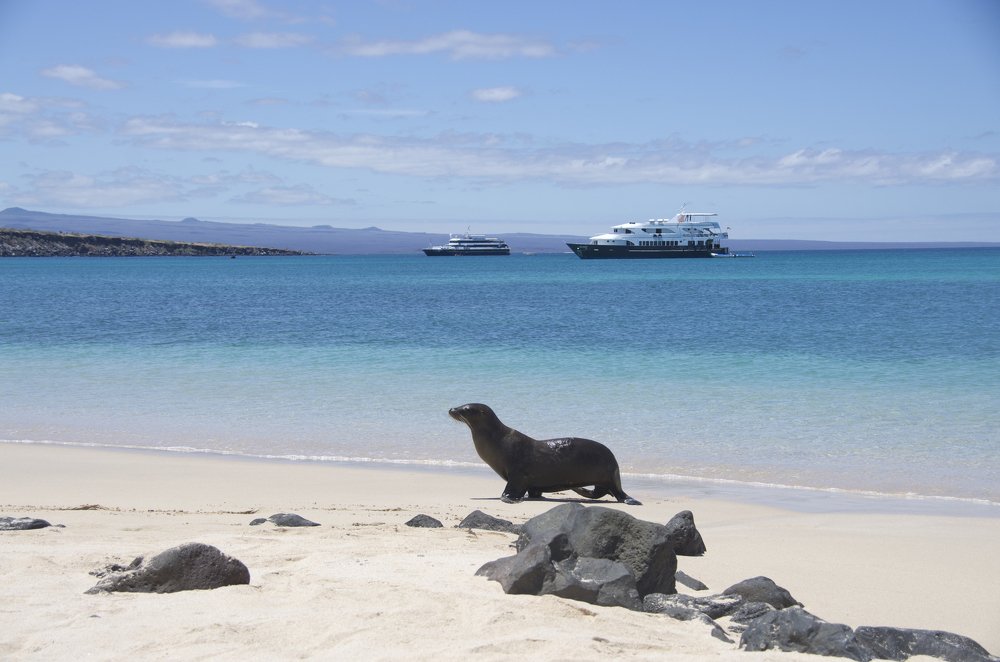 Photograph by Галина Михоношина