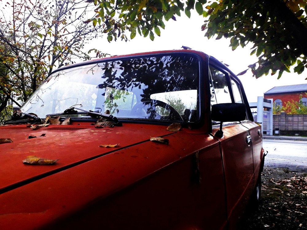 Photograph by Владимир Караман