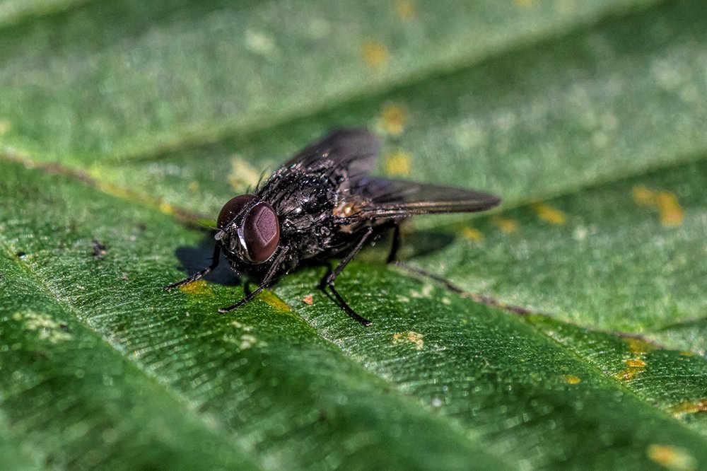 Photograph by Игорь Антипов