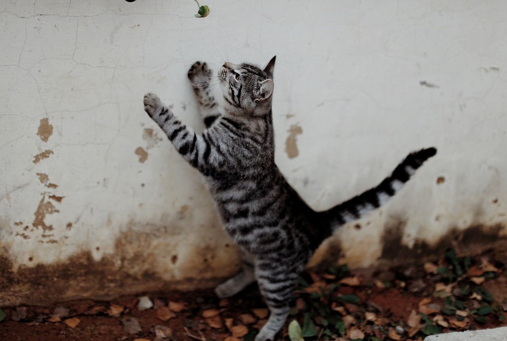 Photograph by Кирилл Кульган