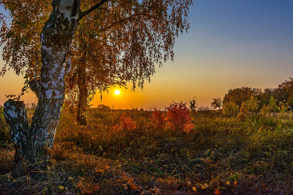 Photograph by Владислав Никишин