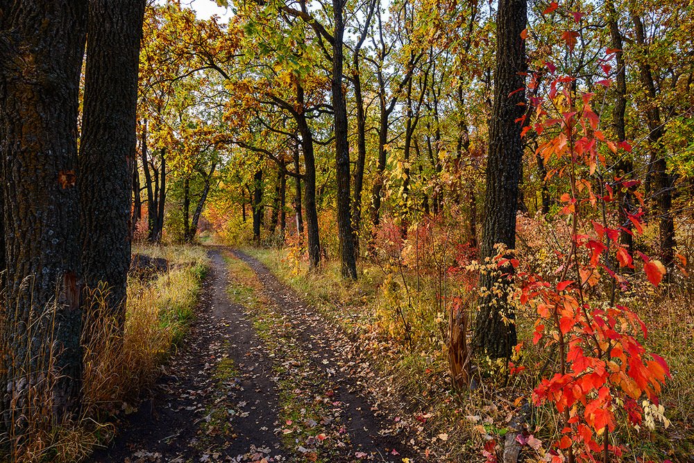 Photograph by Владислав Никишин