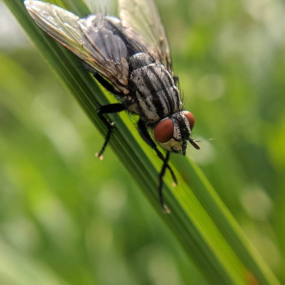 Photograph by Наиль Шакиров