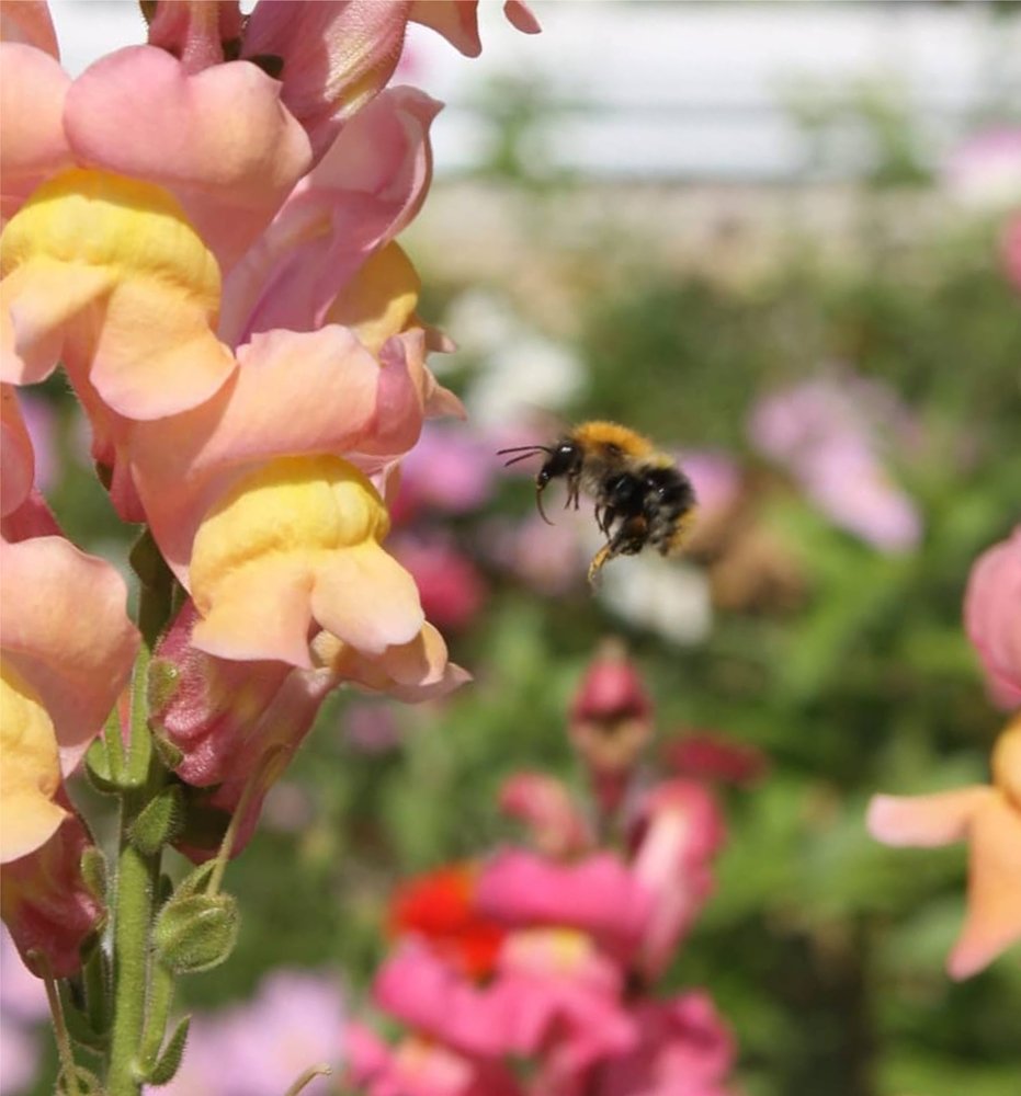 Photograph by Наиль Шакиров