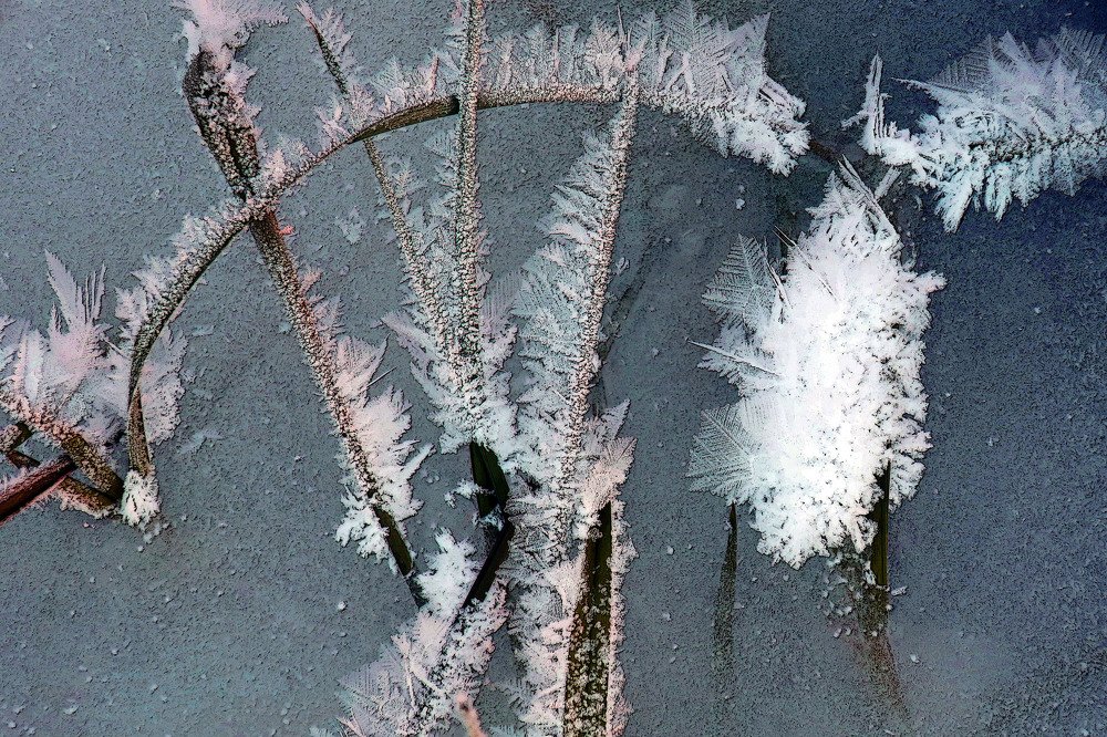 Photograph by Ольга Стоун