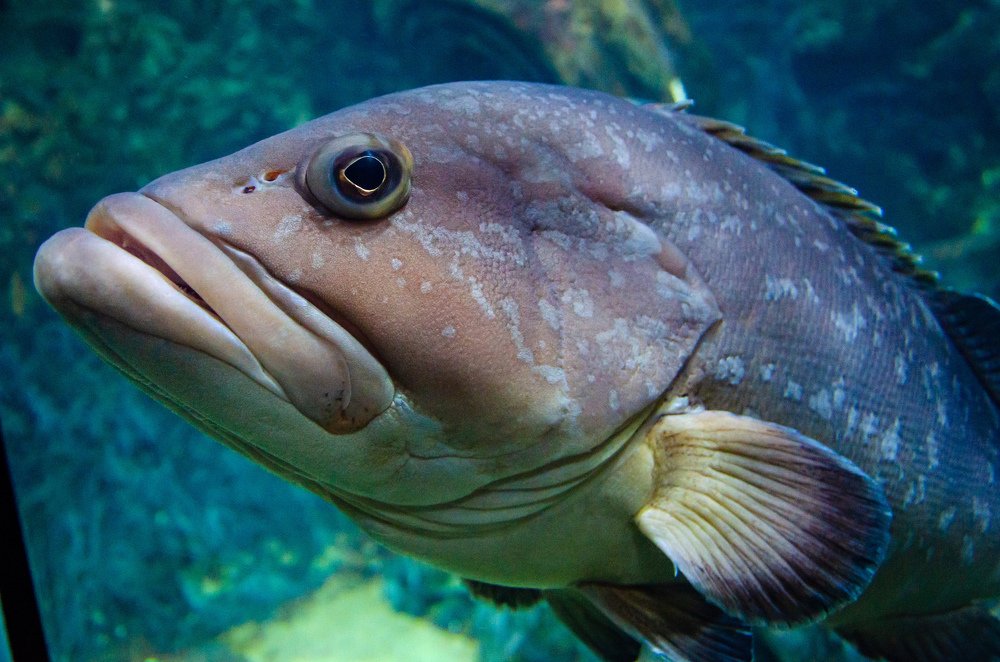 Photograph by Виктор Карпов