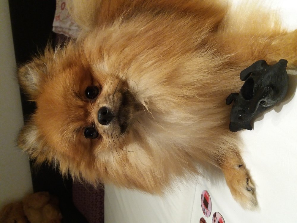 Photograph by оксана