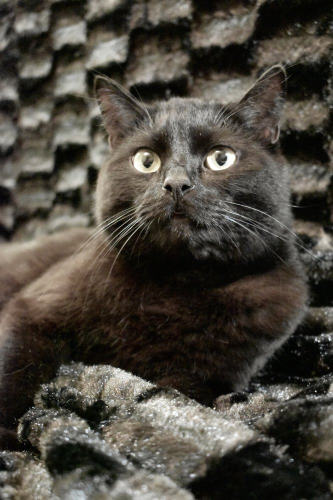 Photograph by Михаил Бородкин