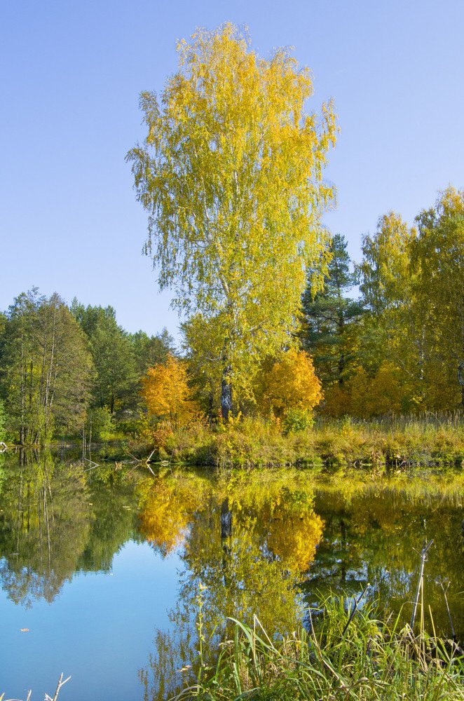 Photograph by Анатолий Васильев