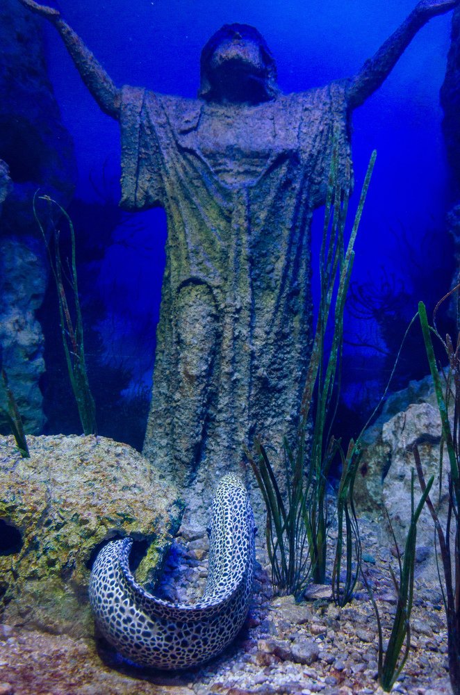 Photograph by Виктор Карпов