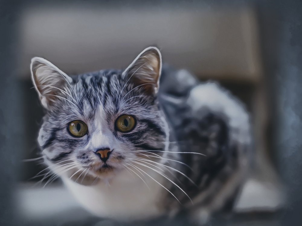 Photograph by Максим Хорошевский