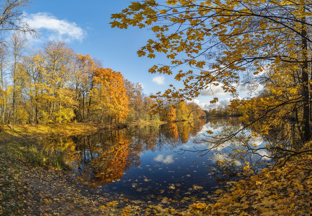 Осенняя пора