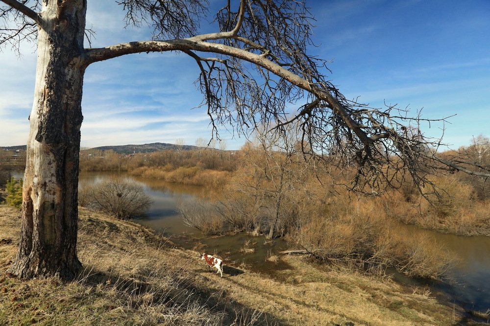 Photograph by Ирина Сушко