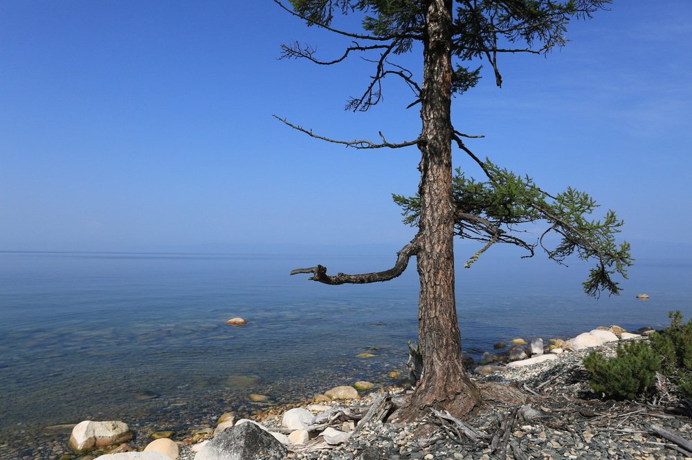 Photograph by Ирина Сушко