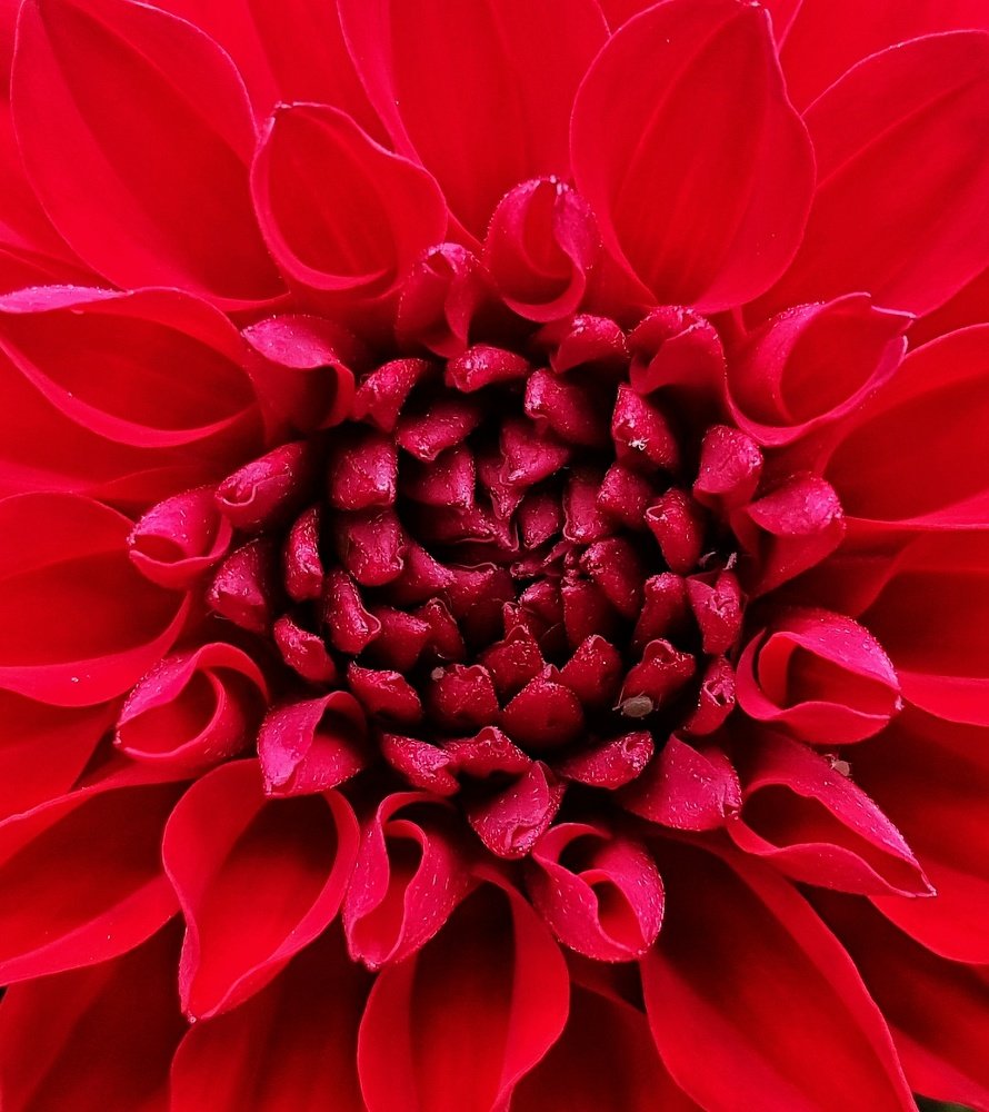 Photograph by Mojca Rebol