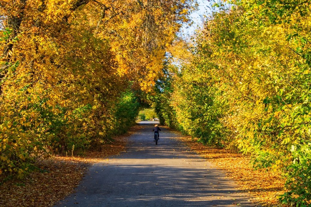 Photograph by Владислав Кулиш