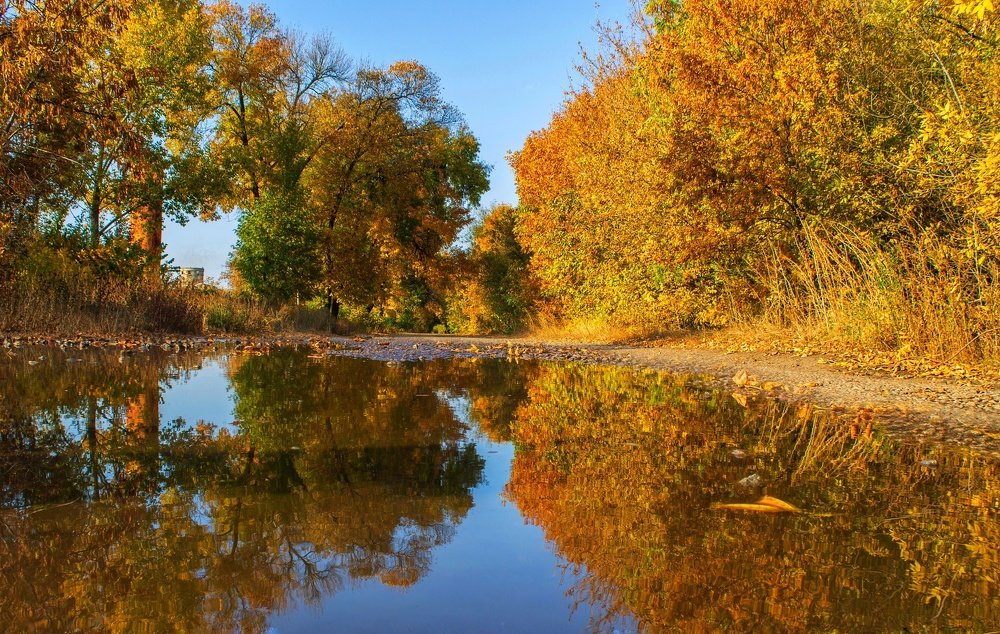 Photograph by Владислав Кулиш