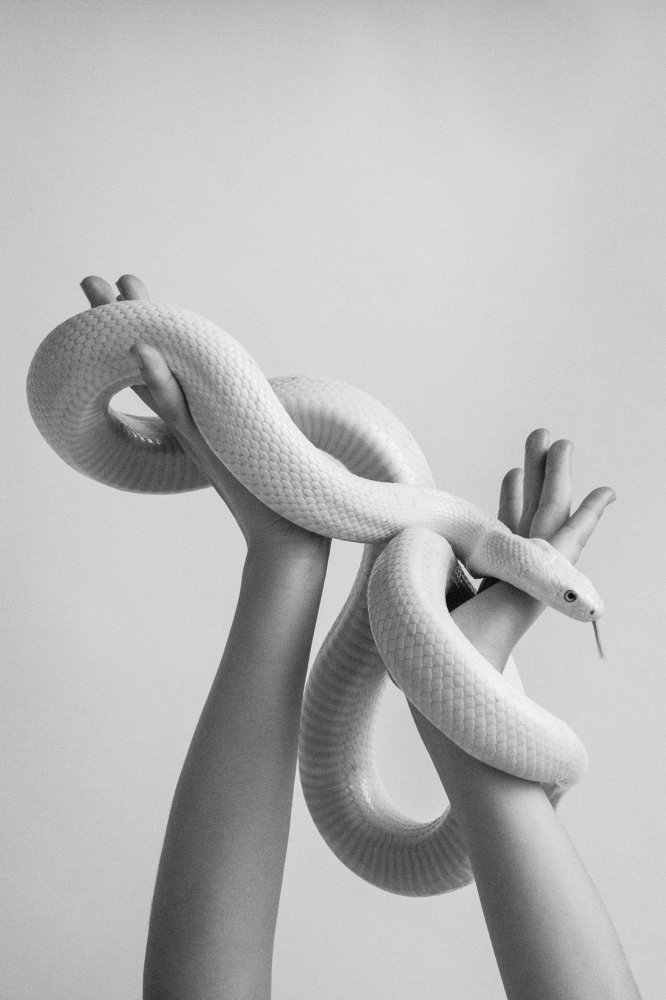 Photograph by Ольга Козлова